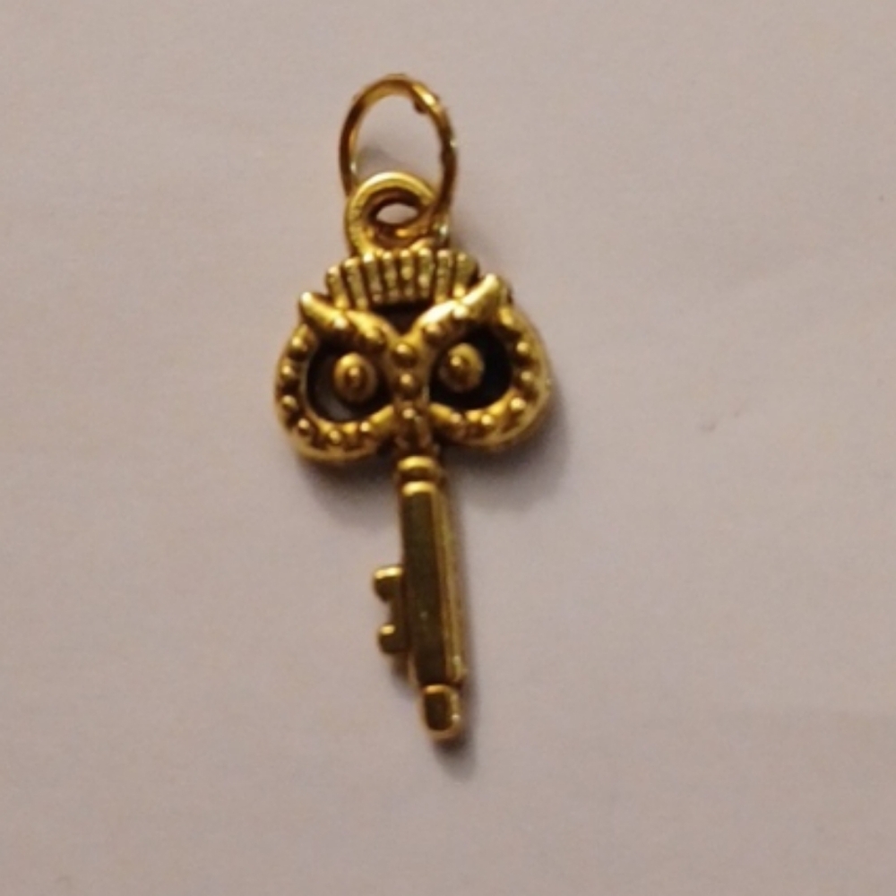 4/$30 New Gold Owl Key Charm or Pendant